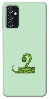 Чохол на Samsung Galaxy M52 Змійка фото 1 з 1