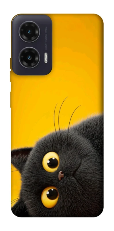 Чохол на Motorola Moto G35 This is Cat фото 1 з 1