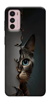 Чехол на Motorola Moto G42 Кот-подглядыватель v2 фото 1 из 1