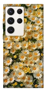 Чехол на Samsung Galaxy S23 Ultra Camomile фото 1 из 1