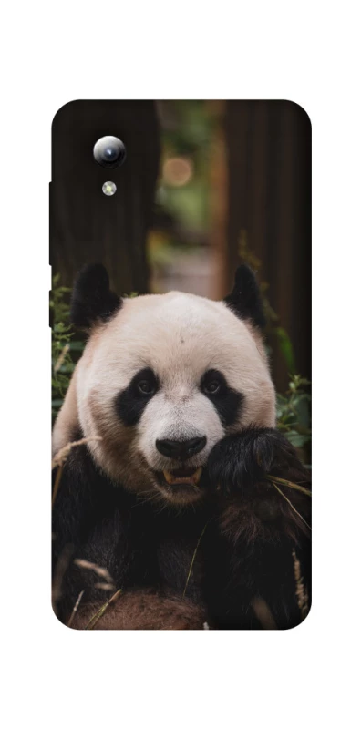 Чехол на ZTE Blade A3 (2019) Панда фото 1 из 1
