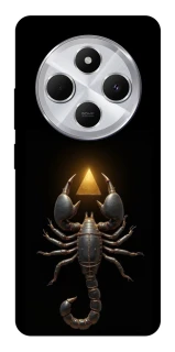 Чехол на Xiaomi Redmi 14C / Poco C75 Scorpio with Golden Triangle фото 1 из 1