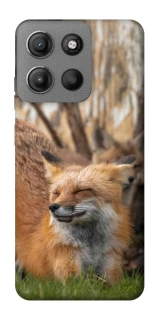 Чехол на Motorola Moto G15 Power Лиса фото 1 из 1