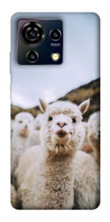 Чохол на ZTE Blade V50 Vita Лама фото 1 з 1