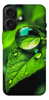 Чохол на Apple iPhone 17 (6.3") Flowers v16 фото 1 з 1