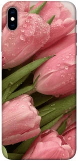 Чохол на Apple iPhone XS Max (6.5") Beauty фото 1 з 1