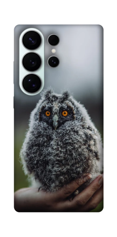 Чохол на Samsung Galaxy S26 Pro Совеня фото 1 з 1