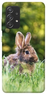 Чехол на Samsung Galaxy A72 4G / A72 5G Кролики фото 1 из 1