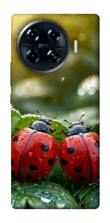 Чохол на TECNO Spark 20 Pro+ Flowers v23 фото 1 з 1