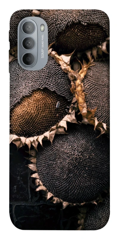 Чохол на Motorola Moto G31 Dreams2 фото 1 з 1