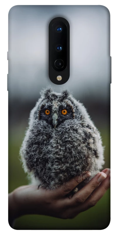 Чехол на OnePlus 8 Совёнок фото 1 из 1
