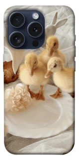 Чехол на Apple iPhone 15 Pro (6.1") Easter Vibes фото 1 из 1