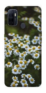 Чохол на Oppo A53 / A32 / A33 Ромашки v13 фото 1 Чохол на Oppo A53 / A32 / A33 Ромашки v13 фото 1 з 1