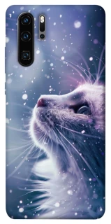 Чехол на Huawei P30 Pro Snow cat фото 1 из 1