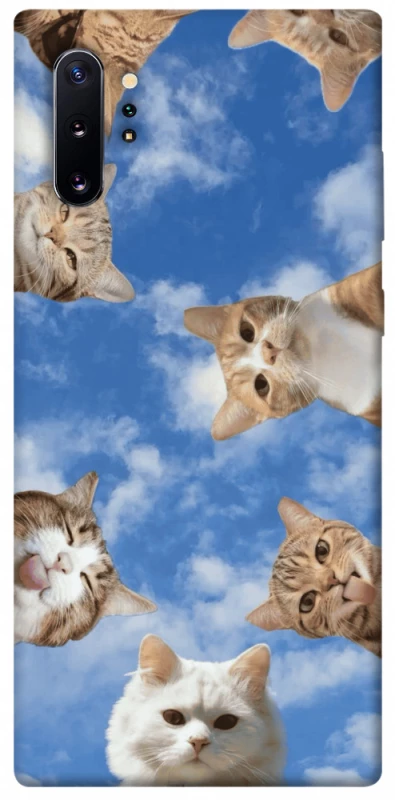 Чохол на Samsung Galaxy Note 10 Plus Сats фото 1 з 1