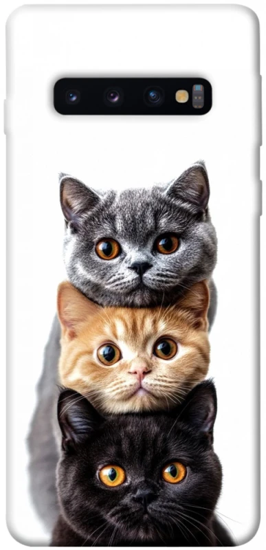 Чохол на Samsung Galaxy S10 Гарні котики фото 1 з 1