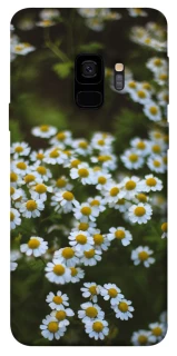 Чехол на Samsung Galaxy S9 Ромашки v13 фото 1 из 1