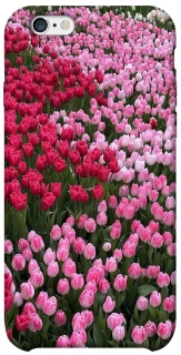 Чохол на Apple iPhone 6/6s (4.7") Flowers v9 фото 1 з 1