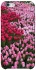 Чехол на Apple iPhone 6/6s (4.7") Flowers v9 фото 1 из 1
