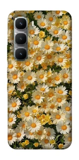 Чехол на Infinix Hot 60 Pro Camomile фото 1 из 1
