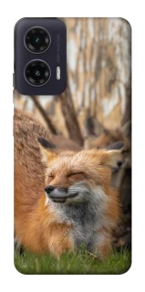 Чехол на Motorola Moto G35 Лиса фото 1 из 1