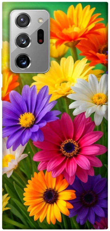 Чехол на Samsung Galaxy Note 20 Ultra Flowers v32 фото 1 из 1