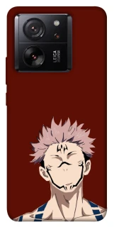 Чохол на Xiaomi 13T Pro Sakuna v3 фото 1 з 1