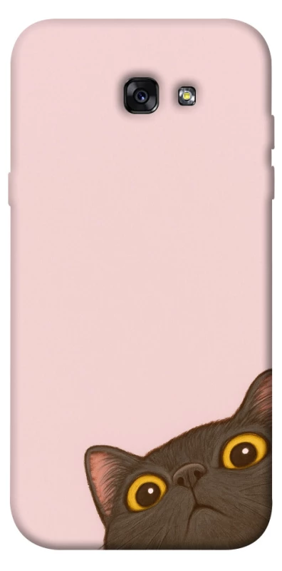 Чехол на Samsung A720 Galaxy A7 (2017) Peeping cat фото 1 Чехол на Samsung A720 Galaxy A7 (2017) Peeping cat фото 1 из 1