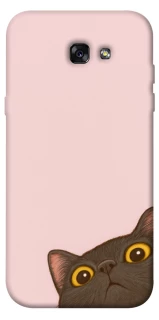 Чехол на Samsung A720 Galaxy A7 (2017) Peeping cat фото 1 Чехол на Samsung A720 Galaxy A7 (2017) Peeping cat фото 1 из 1