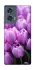 Чехол на Motorola Edge 50 Фиолетовые тюльпаны фото 1 из 1