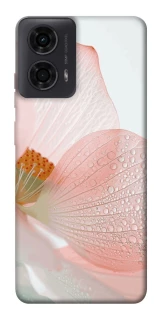 Чехол на Motorola Moto G24 Flowers zon фото 1 из 1