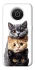 Чохол на Nokia X10 / X20 Гарні котики фото 1 з 1