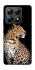 Чохол на Xiaomi 14T Leopard v2 фото 1 з 1