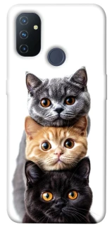 Чохол на OnePlus Nord N100 Гарні котики фото 1 з 1