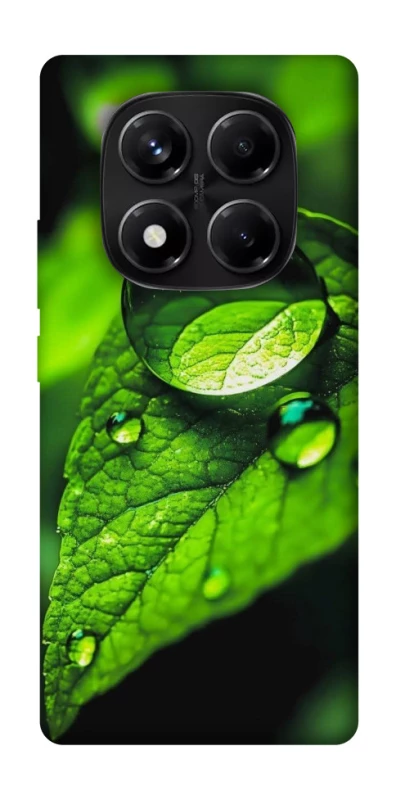 Чохол на Xiaomi Redmi Note 14 Pro 5G Flowers v16 фото 1 з 1