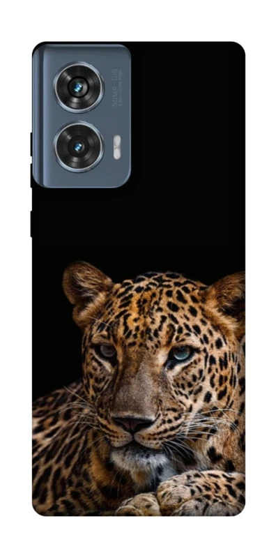 Чехол на Motorola Edge 50 Leopard v4 фото 1 из 1