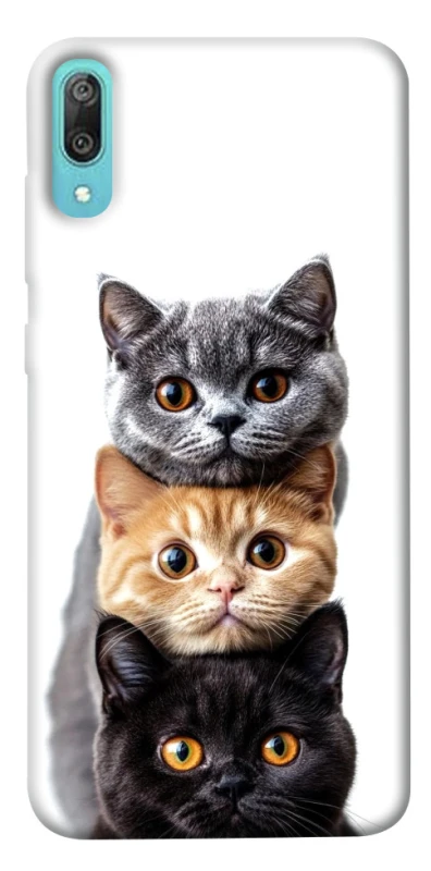 Чохол на Huawei Y6 Pro (2019) Гарні котики фото 1 з 1
