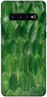 Чехол на Samsung Galaxy S10 Листья фото 1 из 1