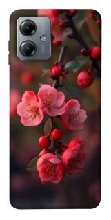 Чехол на Motorola Moto G14 Flowers v28 фото 1 из 1