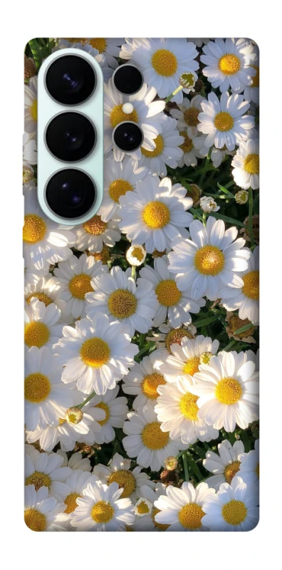 Чохол на Samsung Galaxy S26 Ultra Поле ромашок фото 1 з 1