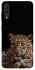 Чохол на Samsung Galaxy A70 (A705F) Leopard v4 фото 1 з 1