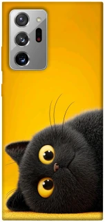 Чохол на Samsung Galaxy Note 20 Ultra This is Cat фото 1 з 1