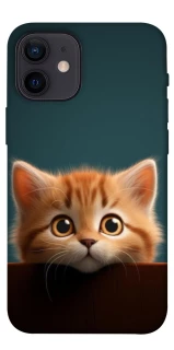 Чохол на Apple iPhone 12 mini (5.4") Чохол Кошеня фото 1 з 1