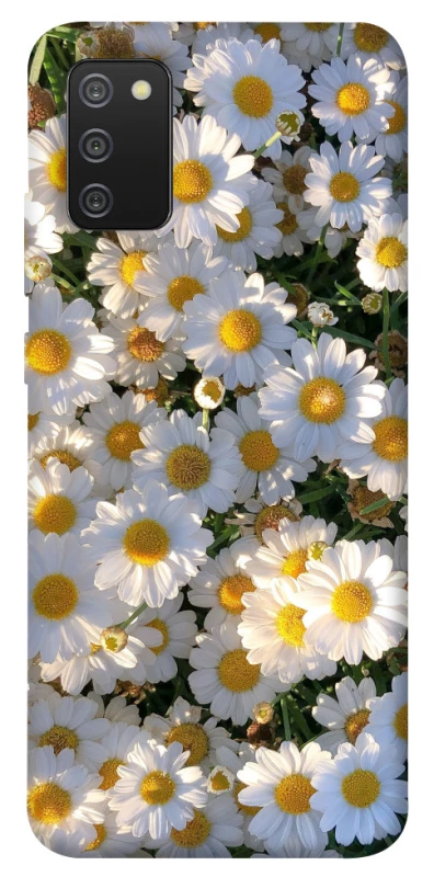 Чохол на Samsung Galaxy A02s Поле ромашок фото 1 з 1