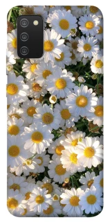Чохол на Samsung Galaxy A02s Поле ромашок фото 1 з 1