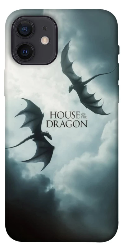 Чехол на Apple iPhone 12 (6.1") House of the Dragon ver.5 фото 1 из 1