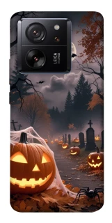 Чехол на Xiaomi 13T Halloween фото 1 из 1