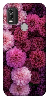 Чехол на Nokia C21 Plus Garden1 фото 1 из 1