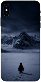 Чехол на Apple iPhone X (5.8") But why? фото 1 из 1