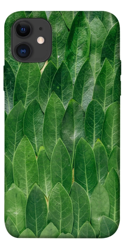 Чохол на Apple iPhone 11 (6.1") Листя фото 1 з 1
